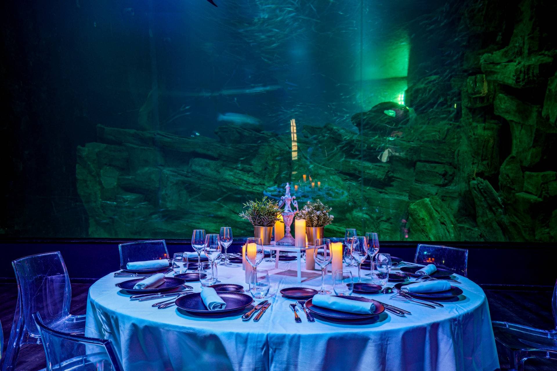 photo de Les Salons de l'Aquarium de Paris