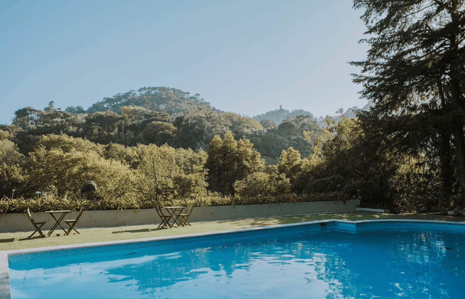 Camélia Gardens 5