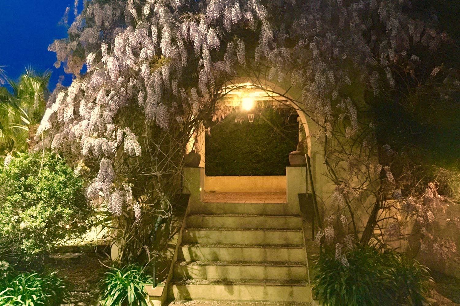 Les Pins Penchés 11