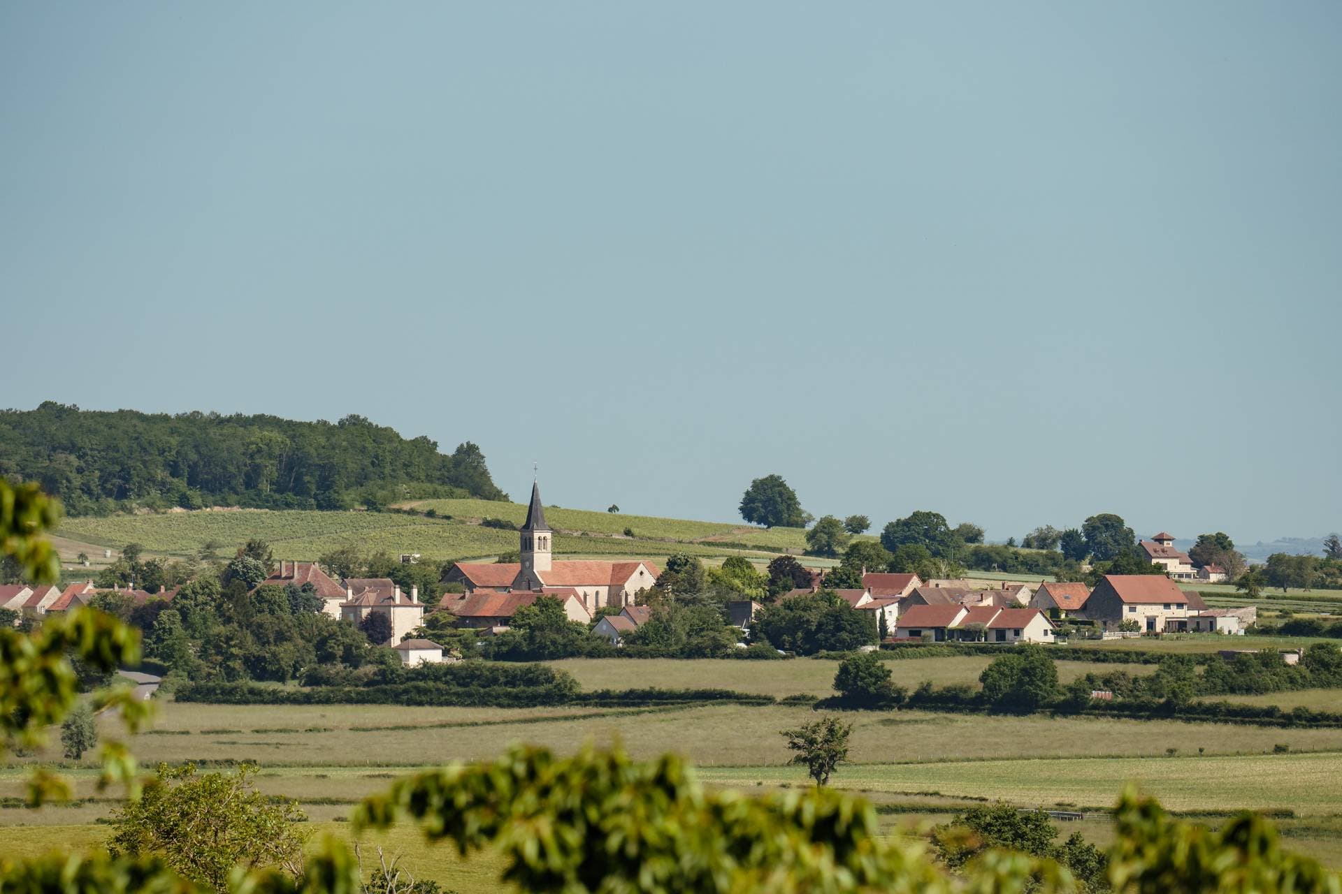Le Clos des Dames de Lancharre 62