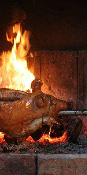 Reini's Hendlgrill und Partyservice 8