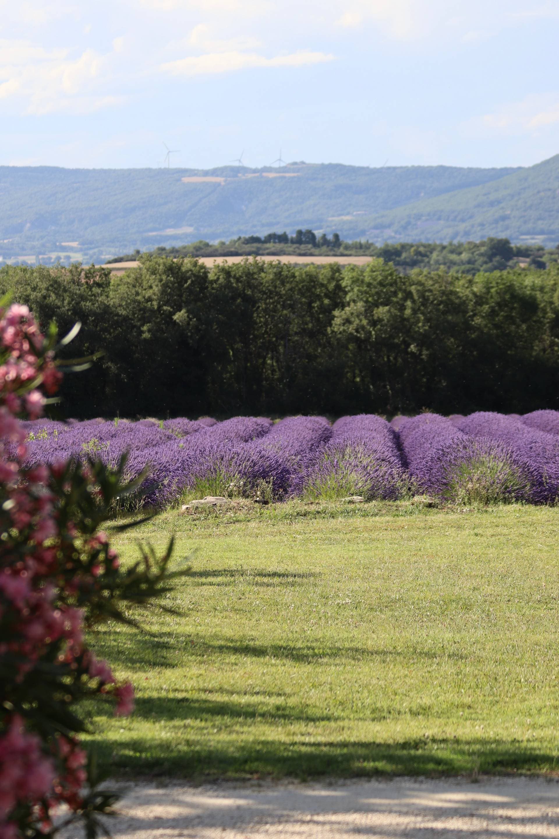 Le Château Les Oliviers de Salettes 33