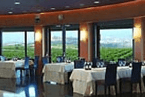 Bodegas Dinastia Vivanco 6