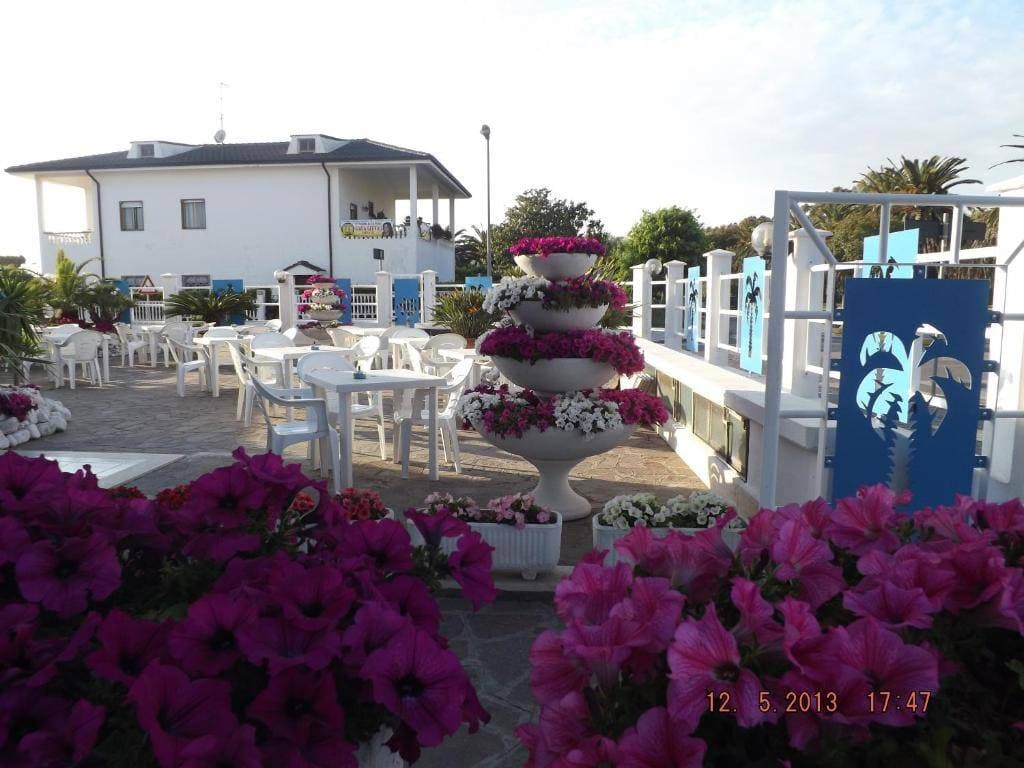 Le Palme Sabaudia 4