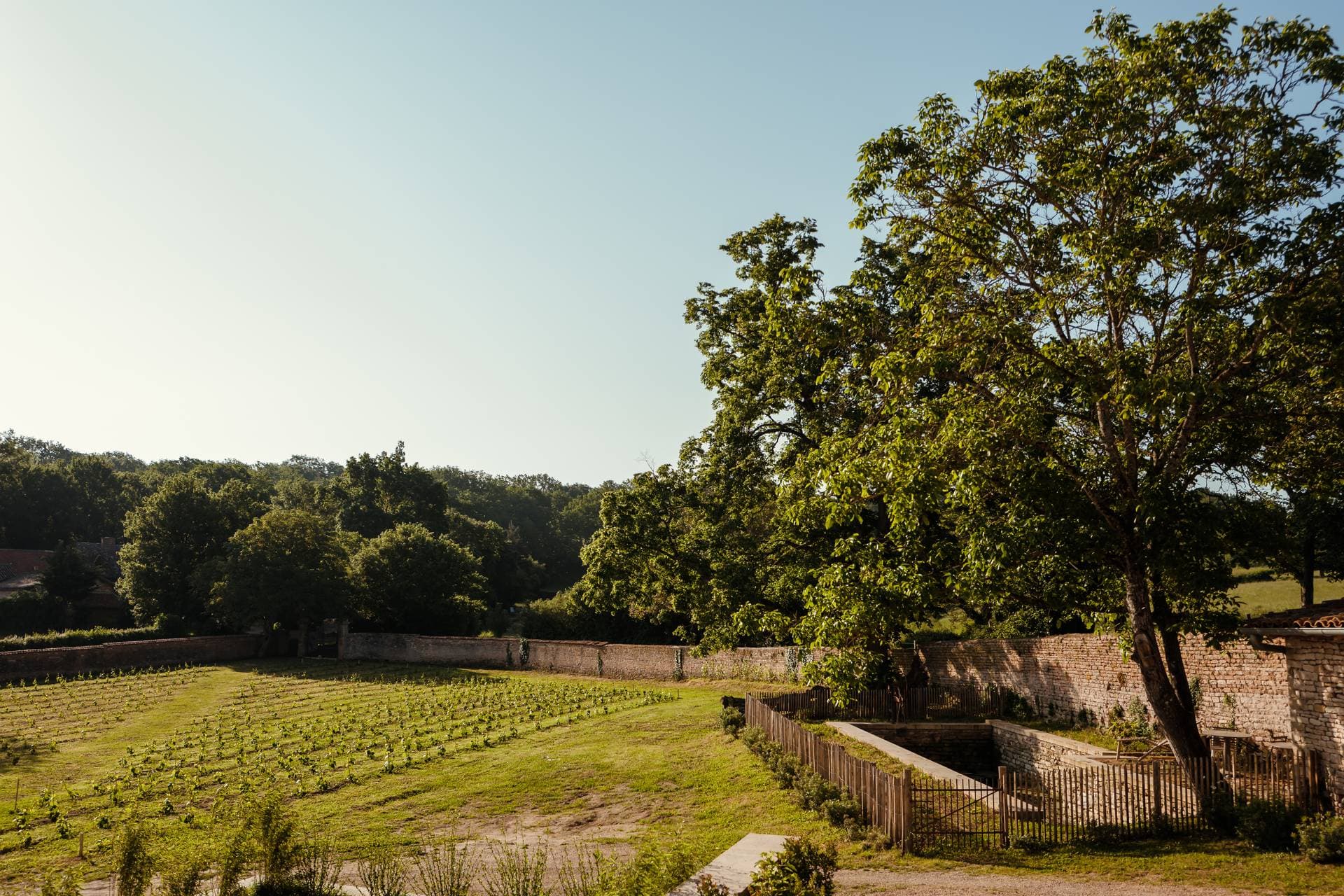 Le Clos des Dames de Lancharre 46