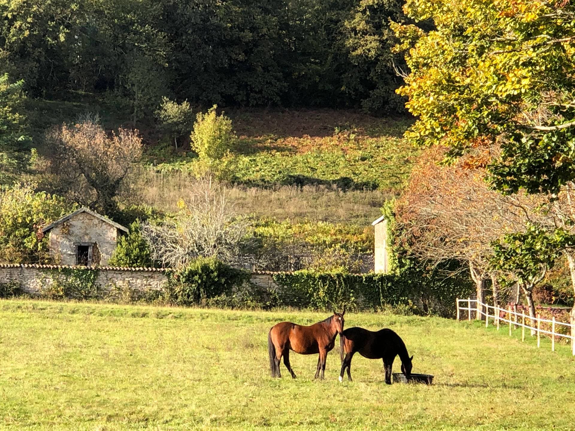 Le Domaine du Vignau 25