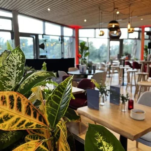 Your Nature - Eco Resort Belgique 15