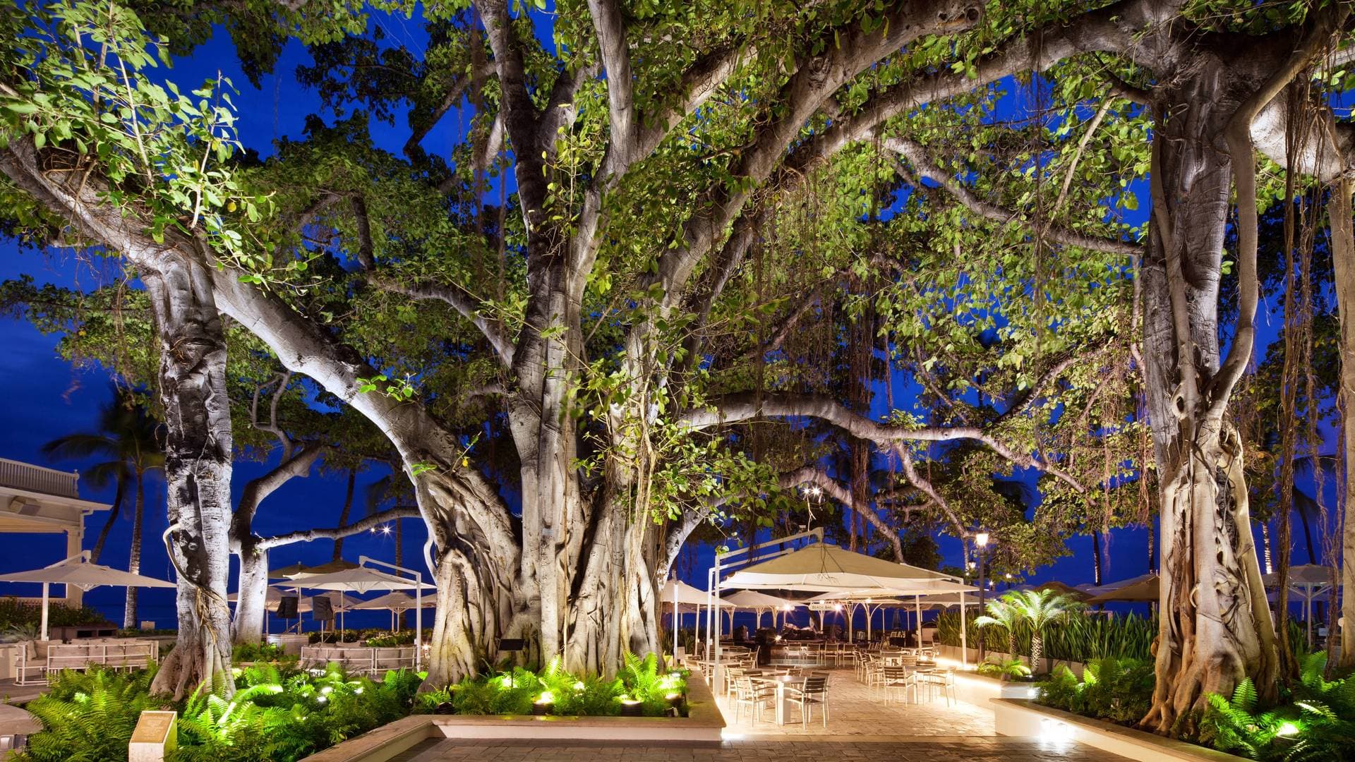 Moana Surfrider, A Westin Resort & Spa, Waikiki Beach 17