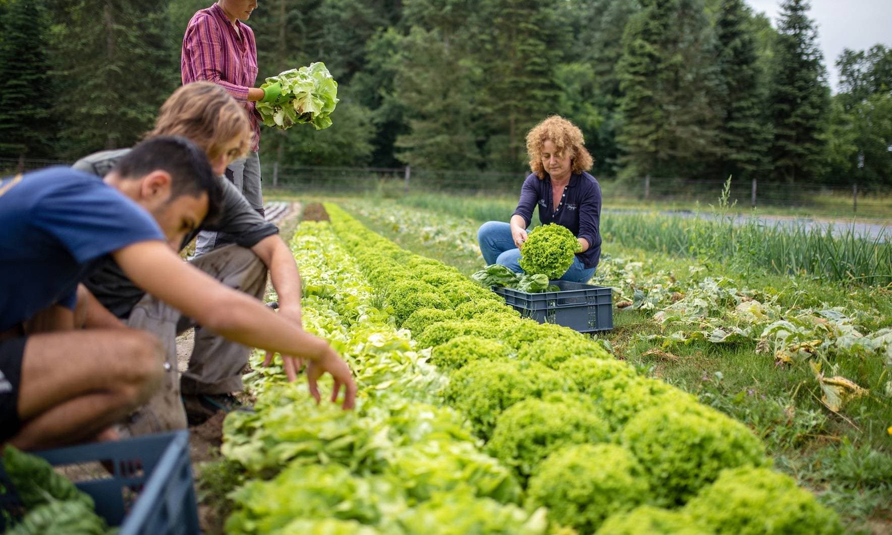 Le Village Potager 24