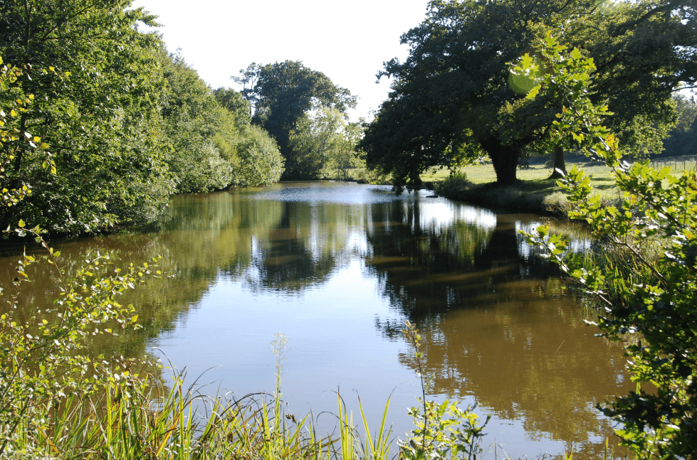 Le Domaine de Pierre Levée 9