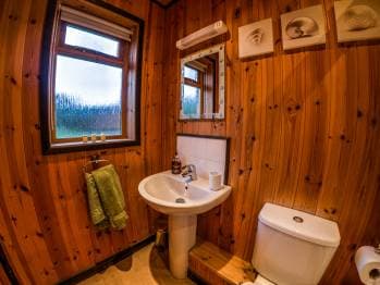 New Forest Lodges 25