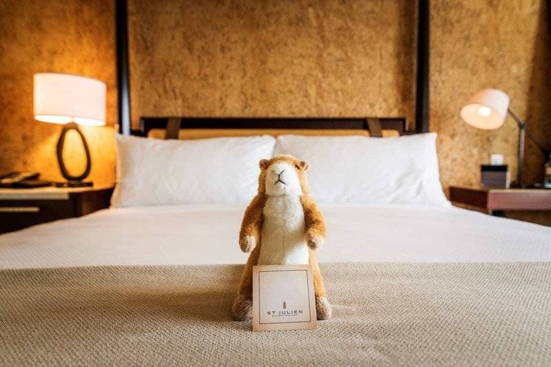 The St Julien Hotel & Spa 14