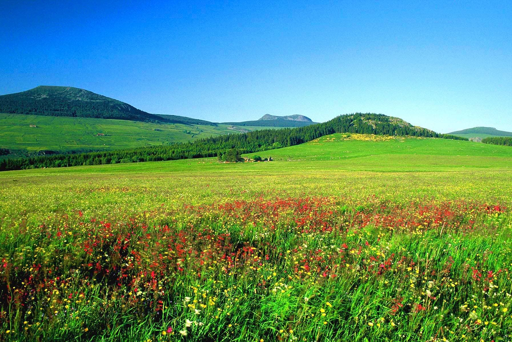 Domaine de Chadenac 4