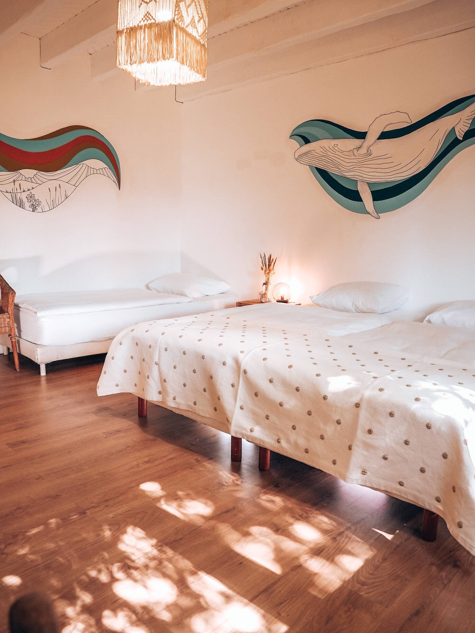 Les maisons Ocean Shelter 68