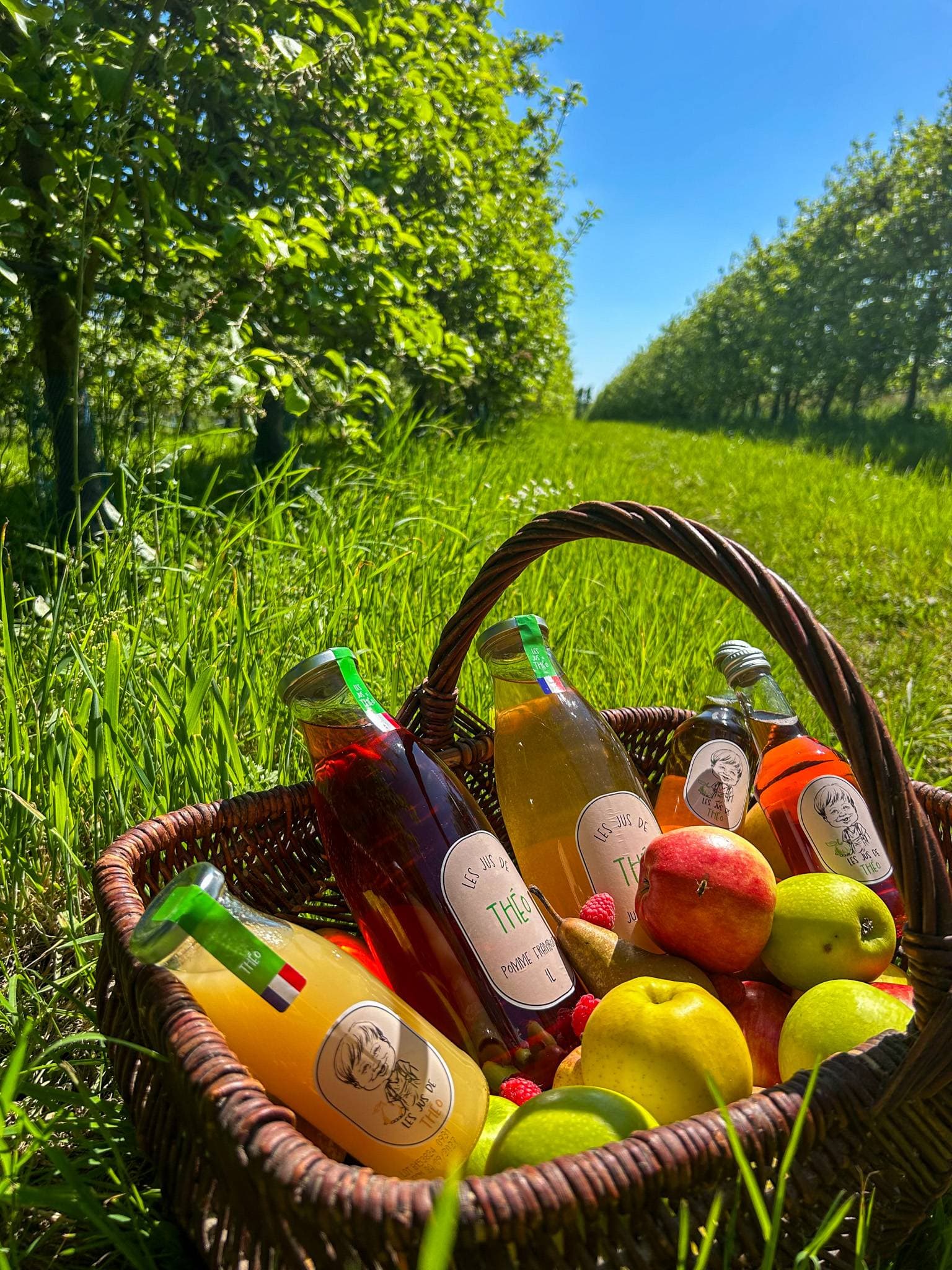 Le Domaine de Brandois 39
