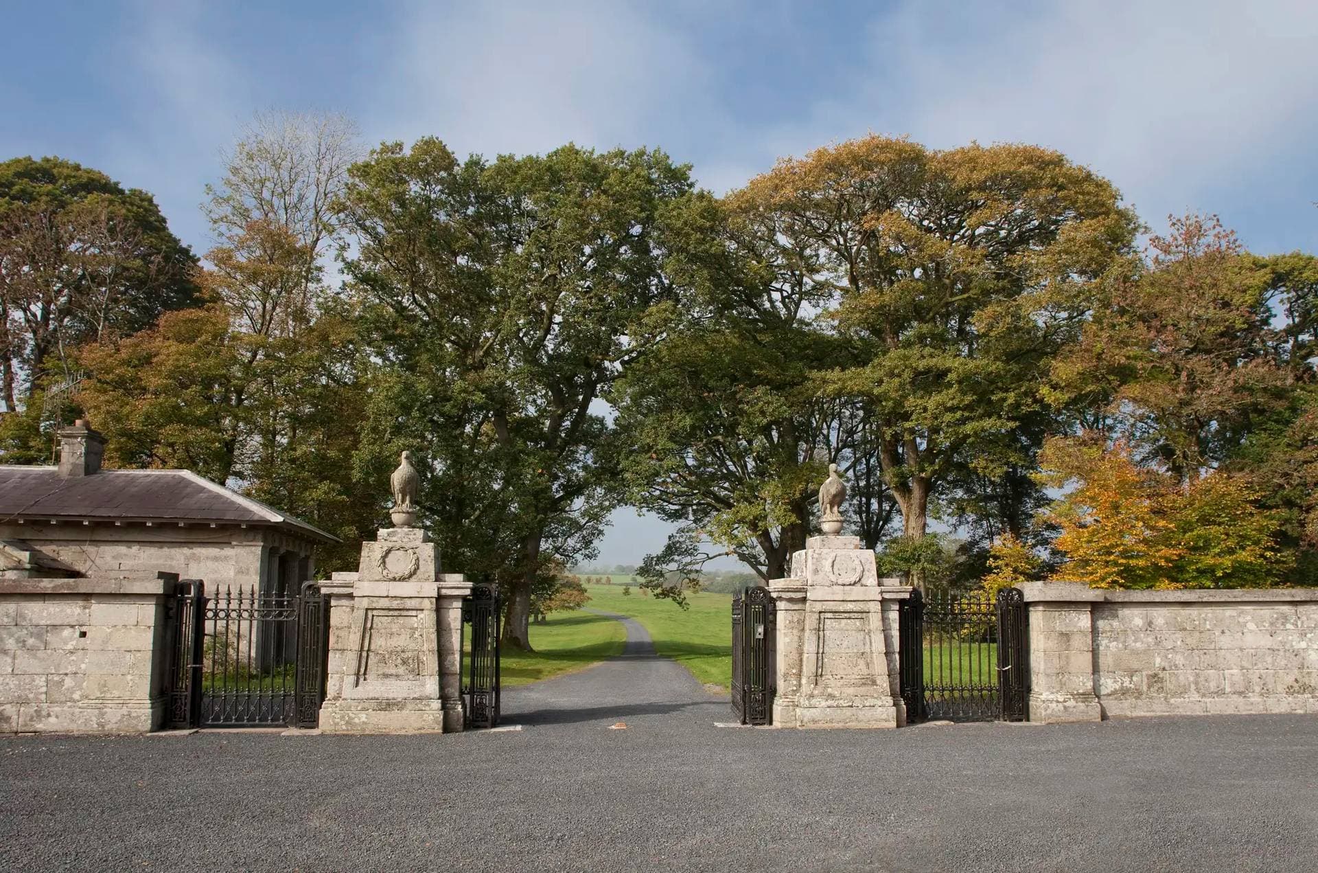 Ballyfin Demesne 7