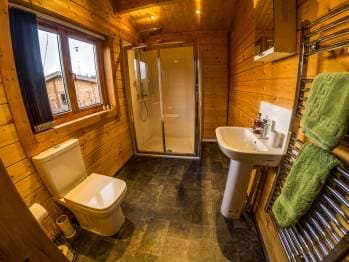 New Forest Lodges 10