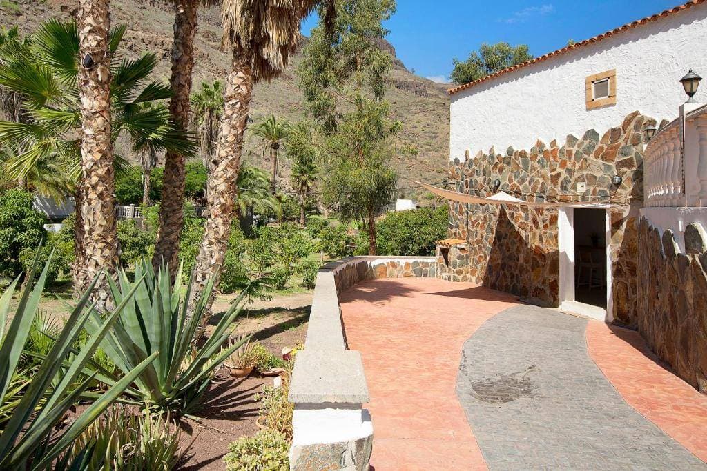 Finca - Los Tanquillos 9
