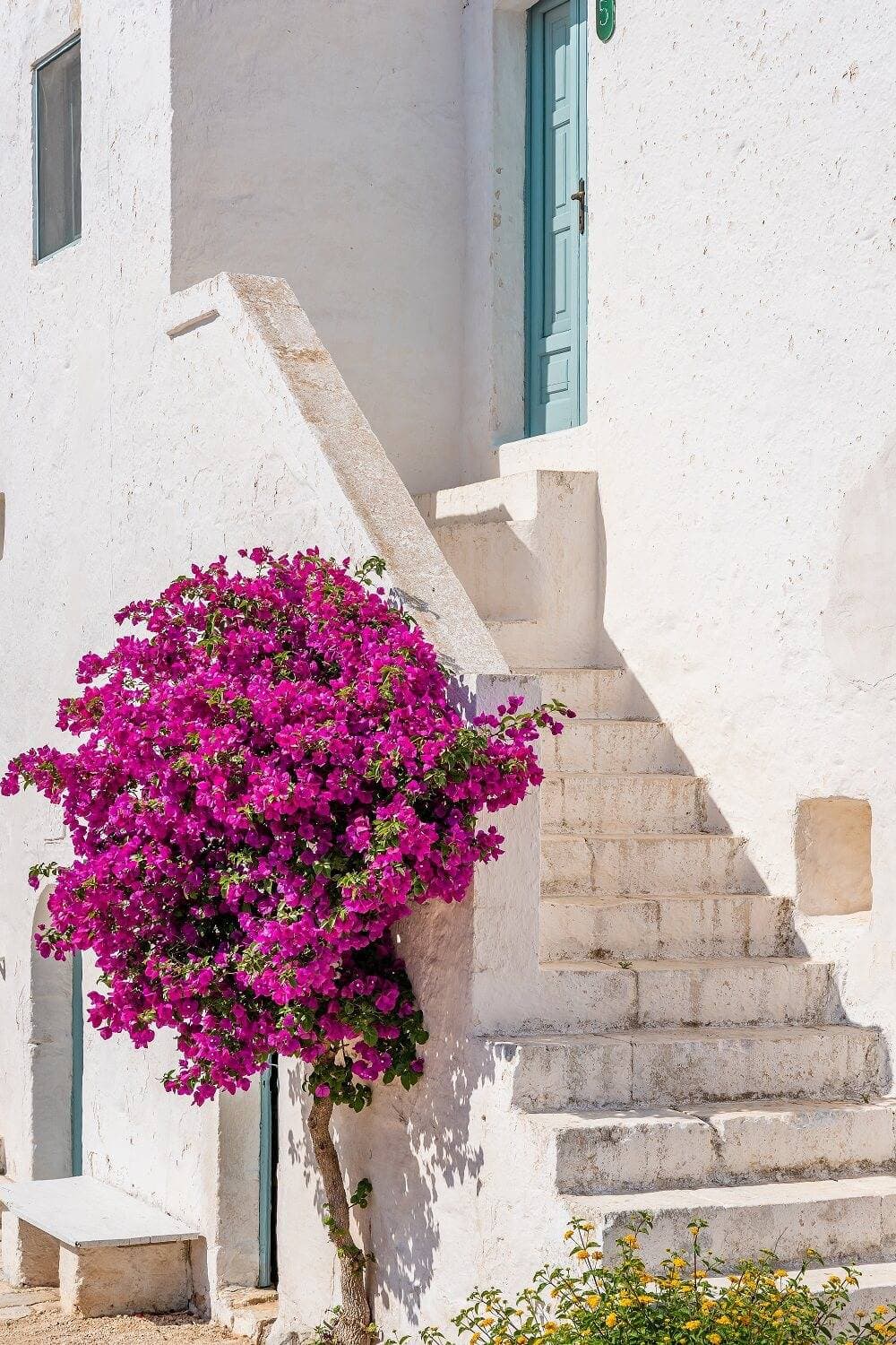 Masseria Mozzone 27