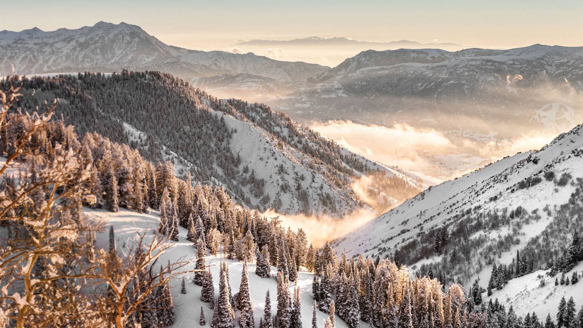 Goldener Hirsch, Auberge Resorts Collection 19