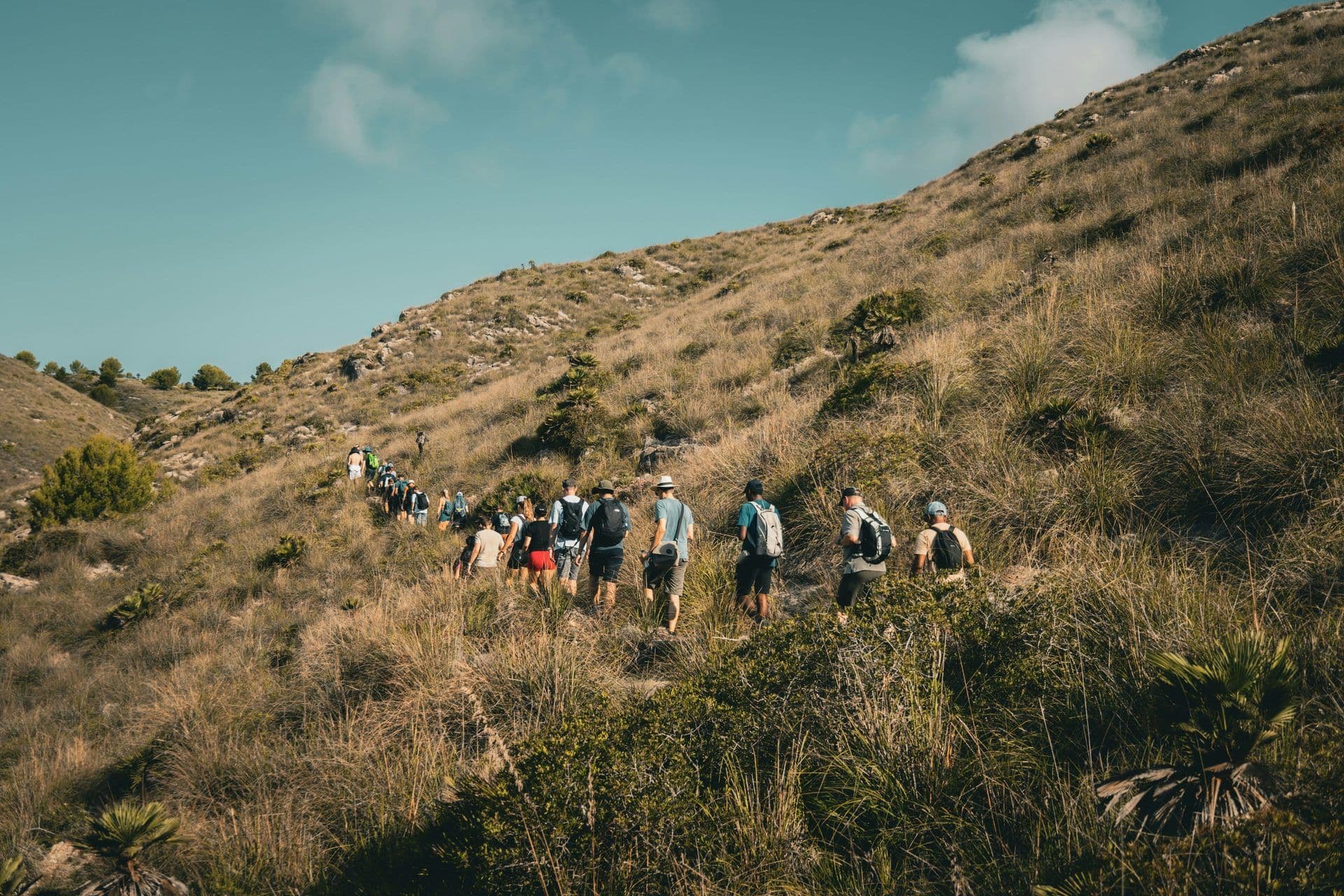 A group of colleagues hiking uphill on a dry, grassy mountain trail during a corporate team building event.