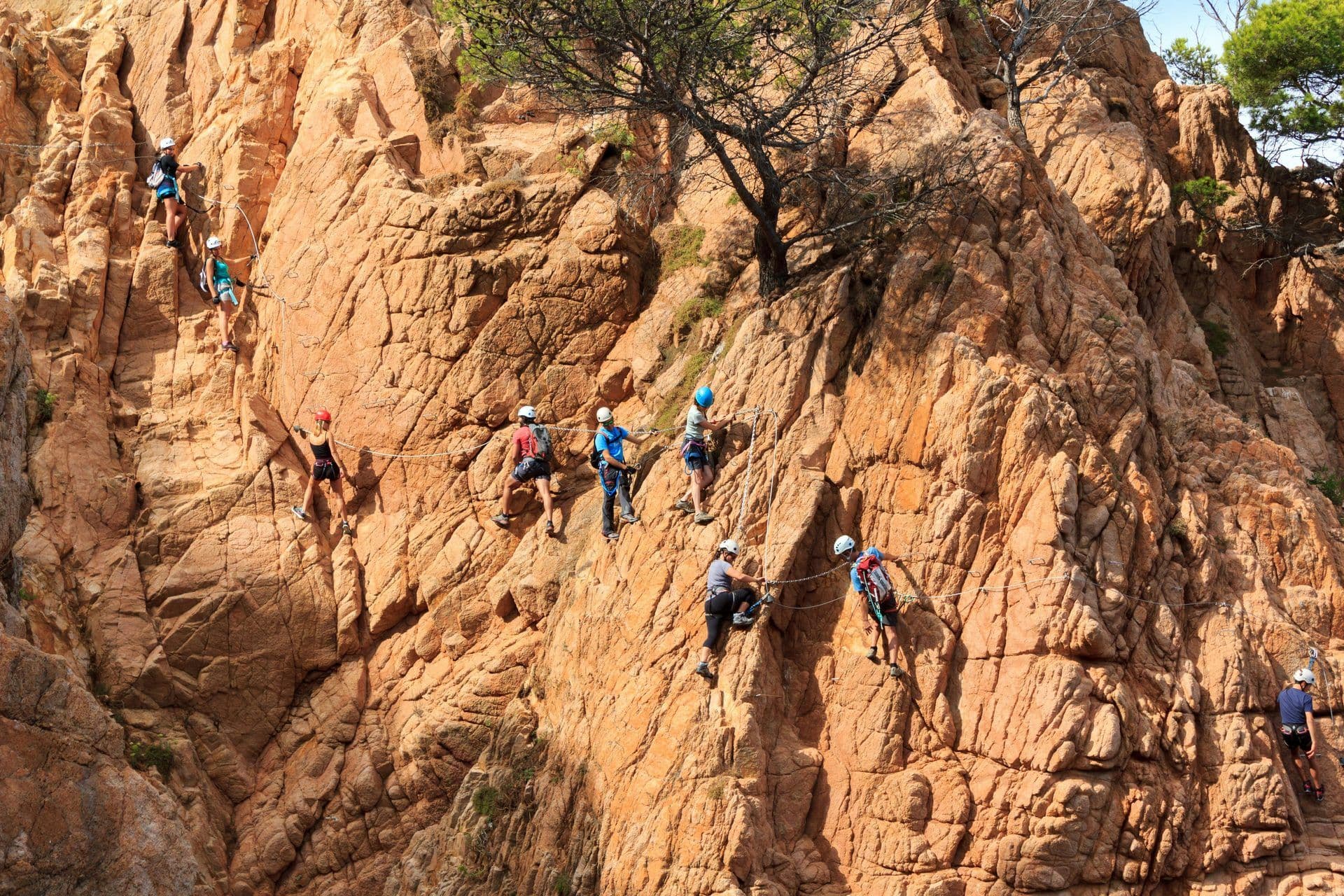 A group participates in an outdoor team building activity, navigating a high ropes course on a rock face.