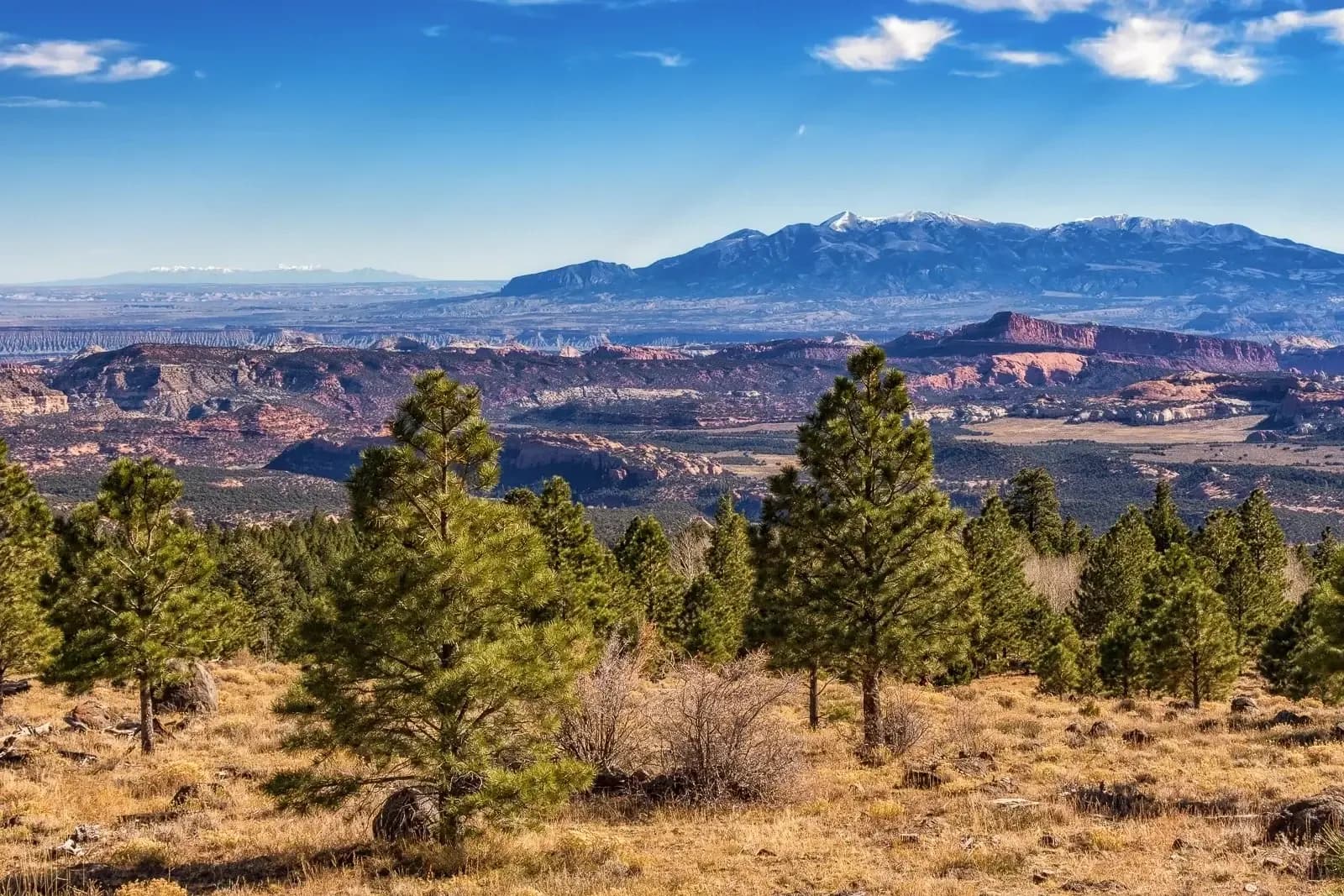 Réservez une salle de conférence à Boulder