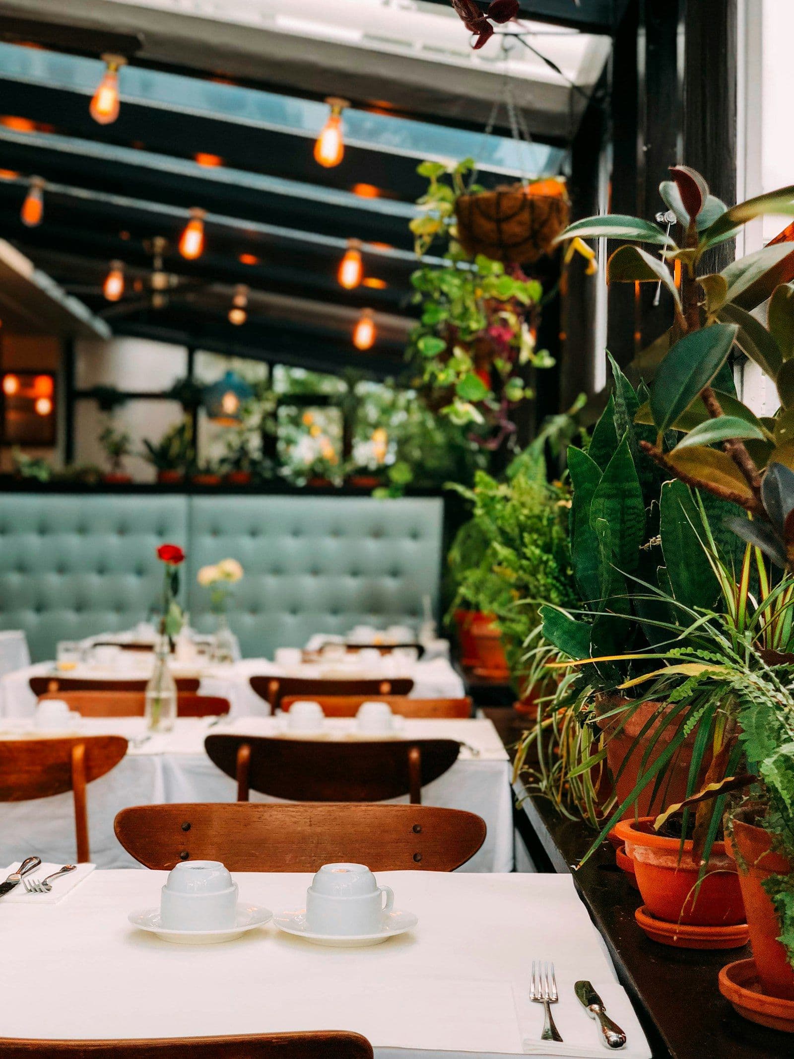 Elegant restaurant dining room