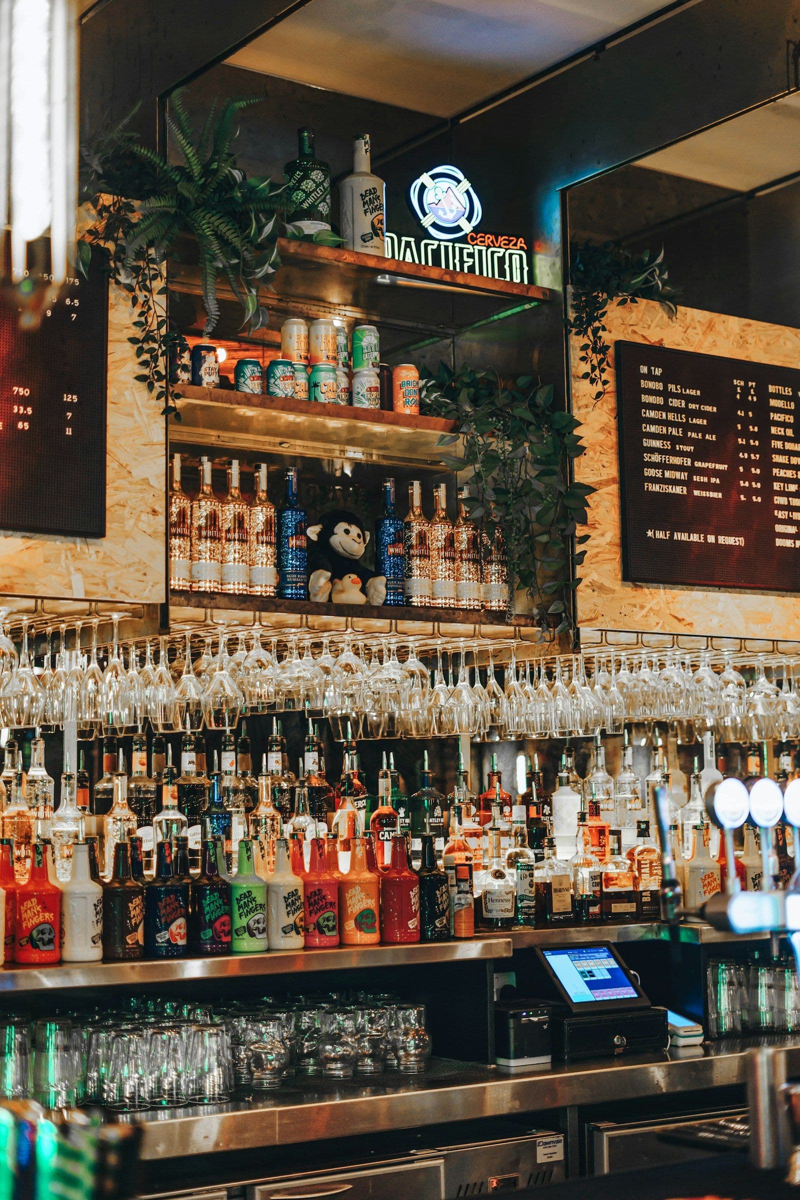 Stylish cocktail bar interior
