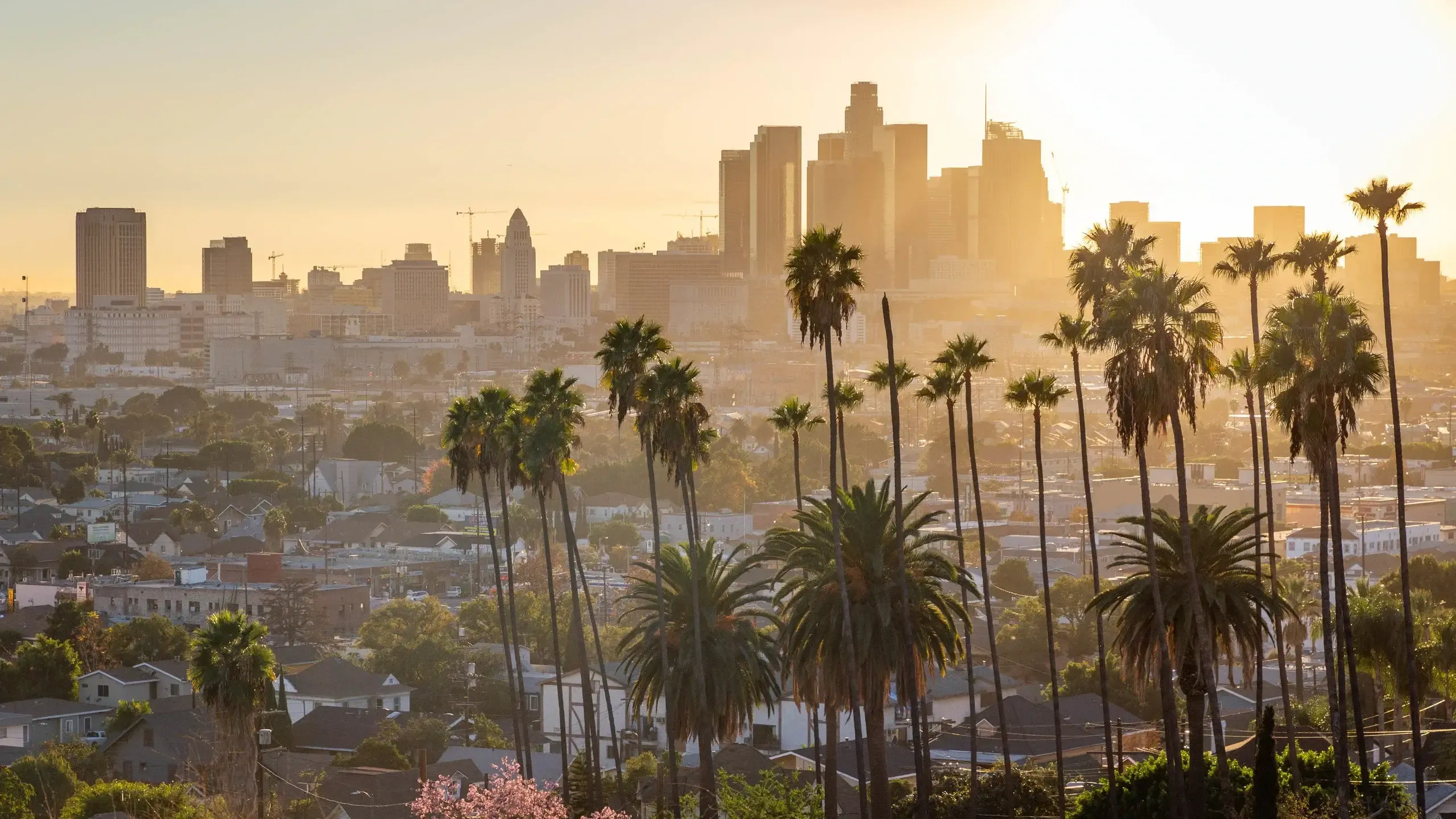 Les meilleurs séminaires à Los Angeles