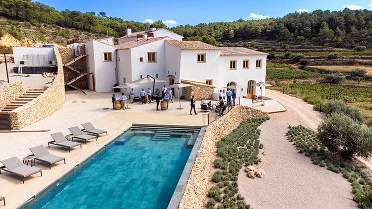 Corporate group networking on a sunny terrace at a white historic event venue with a pool and vineyards in