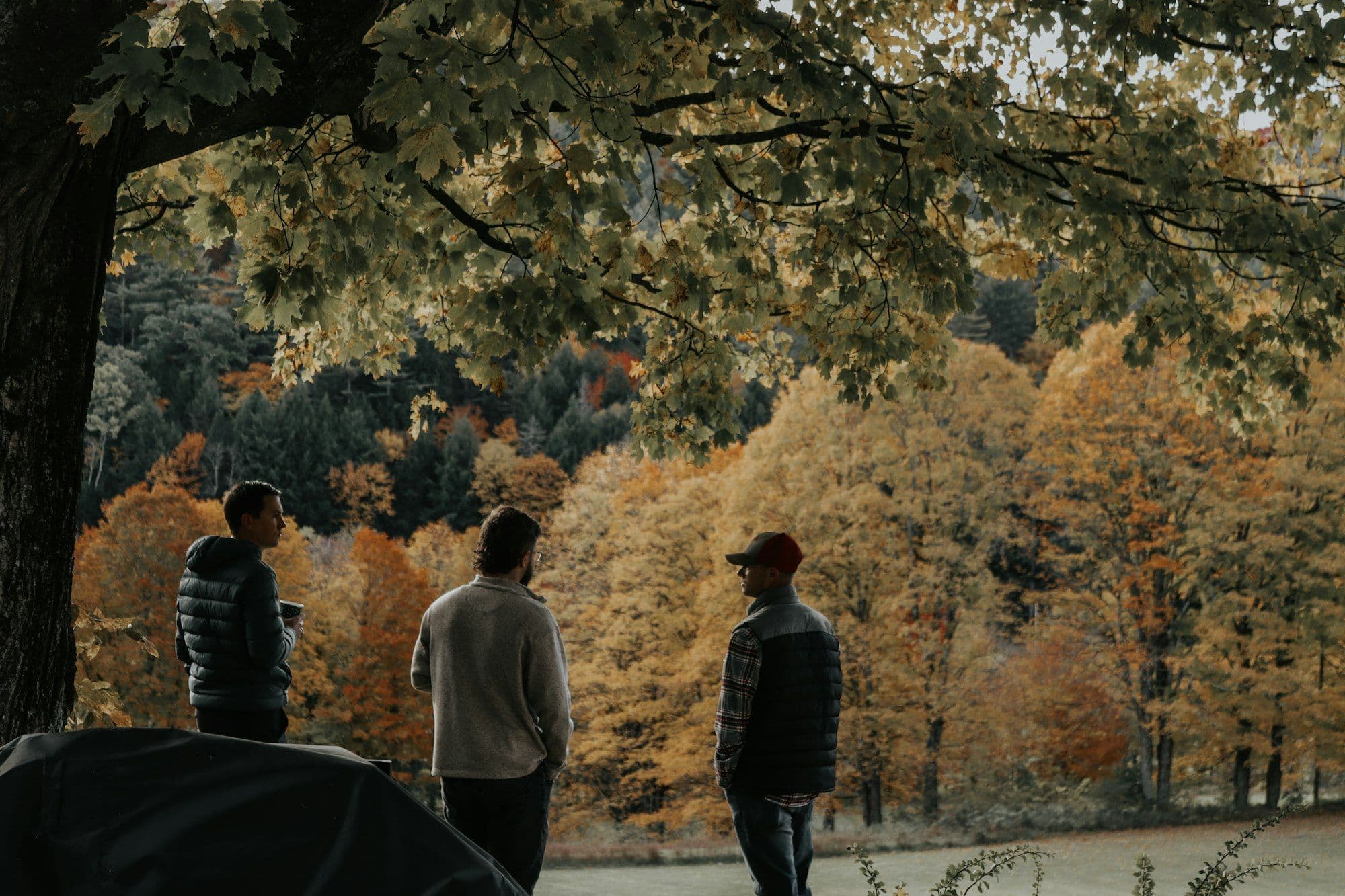Colleagues walking together on a wooded path during a team autumn outing