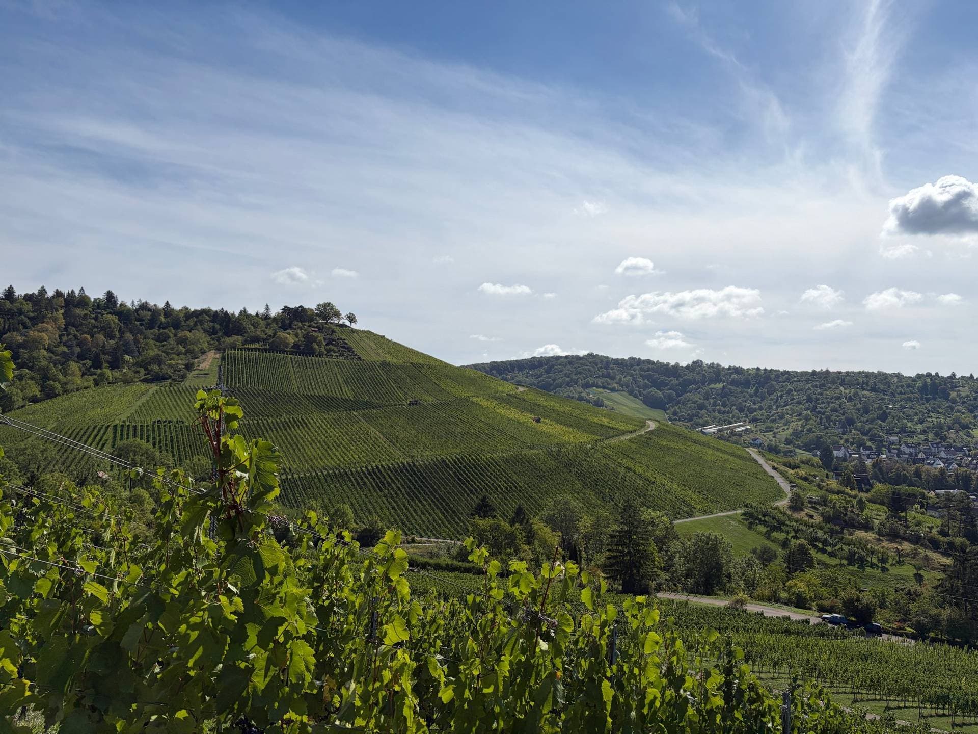 Weingut Zaiß 1