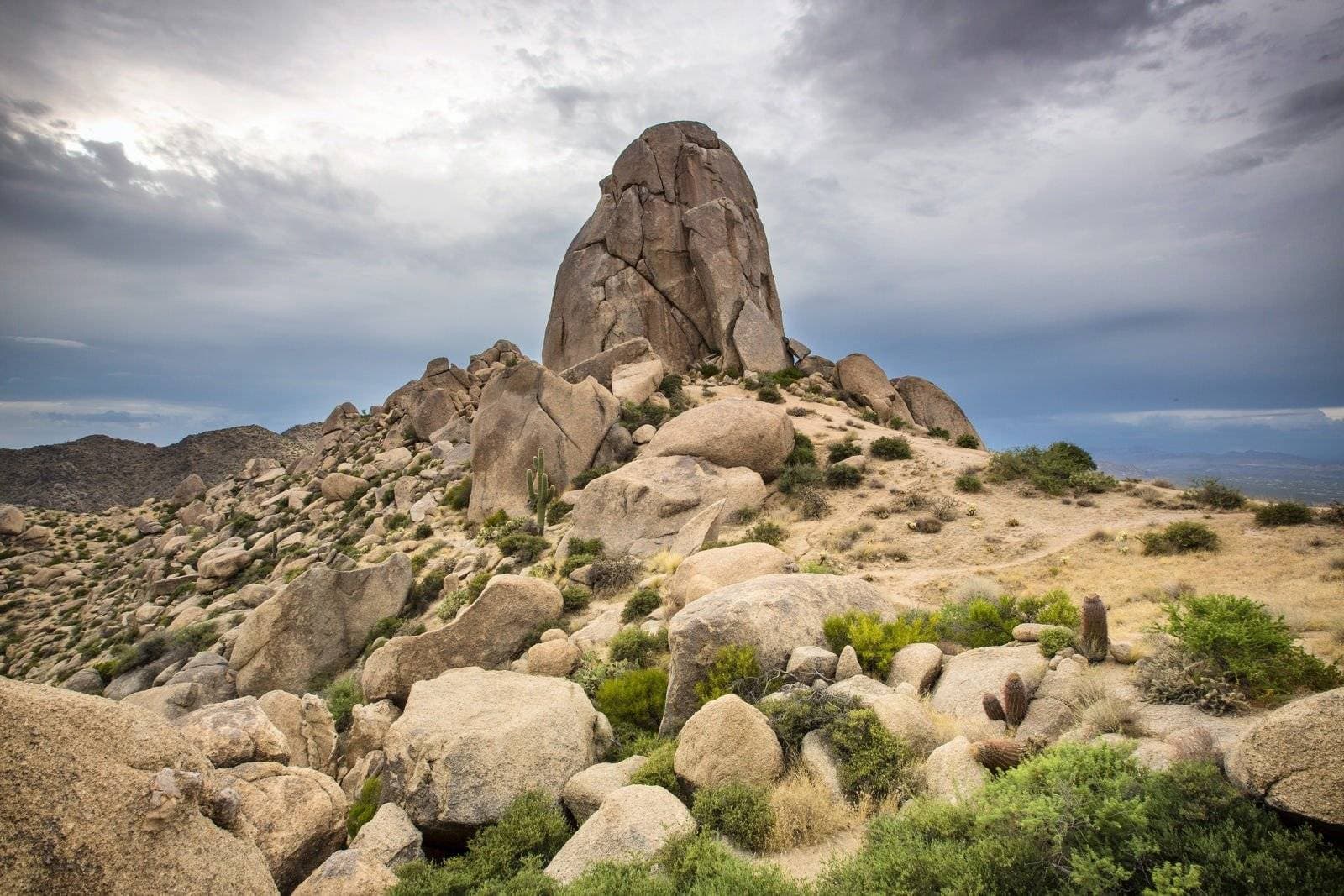 Mad Desert Trekking 1