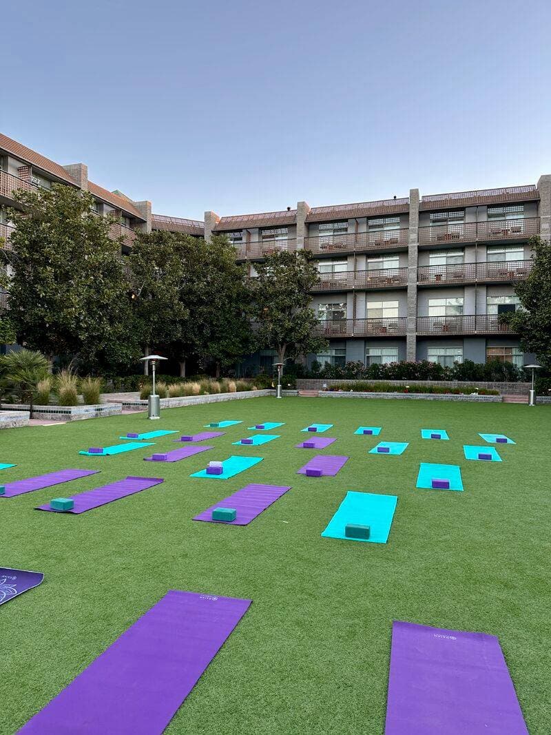 Luna Lotus Wellness 1