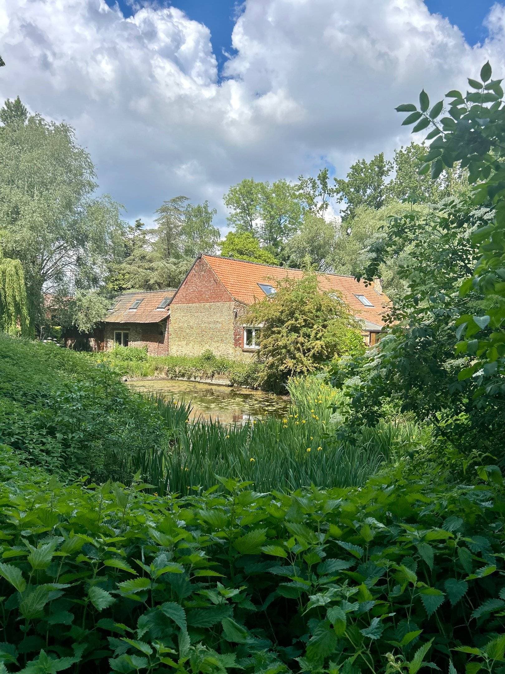 Domaine butterfly 1