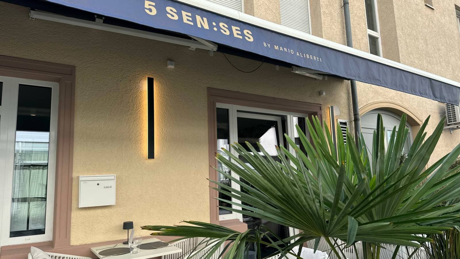 5 SEN:SES 1