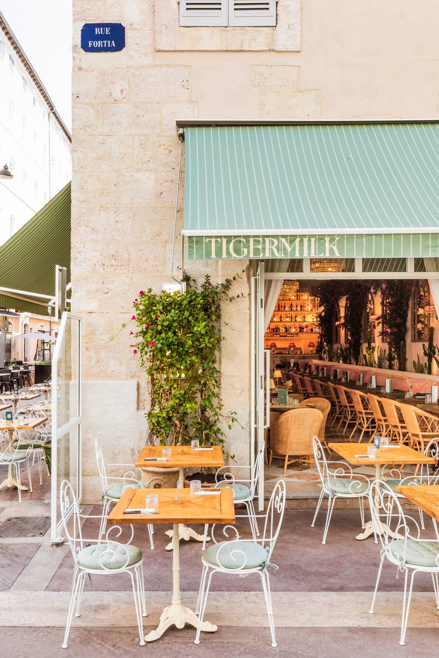 Tigermilk Marseille 1