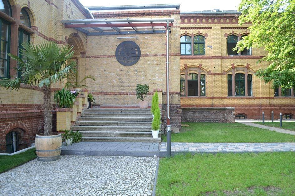 Viehbörse Magdeburg 1