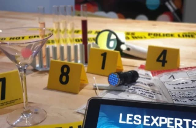 Murder party : les experts