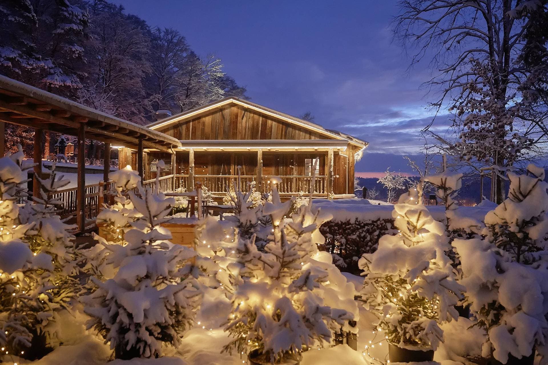 Chalet Züriberg 1