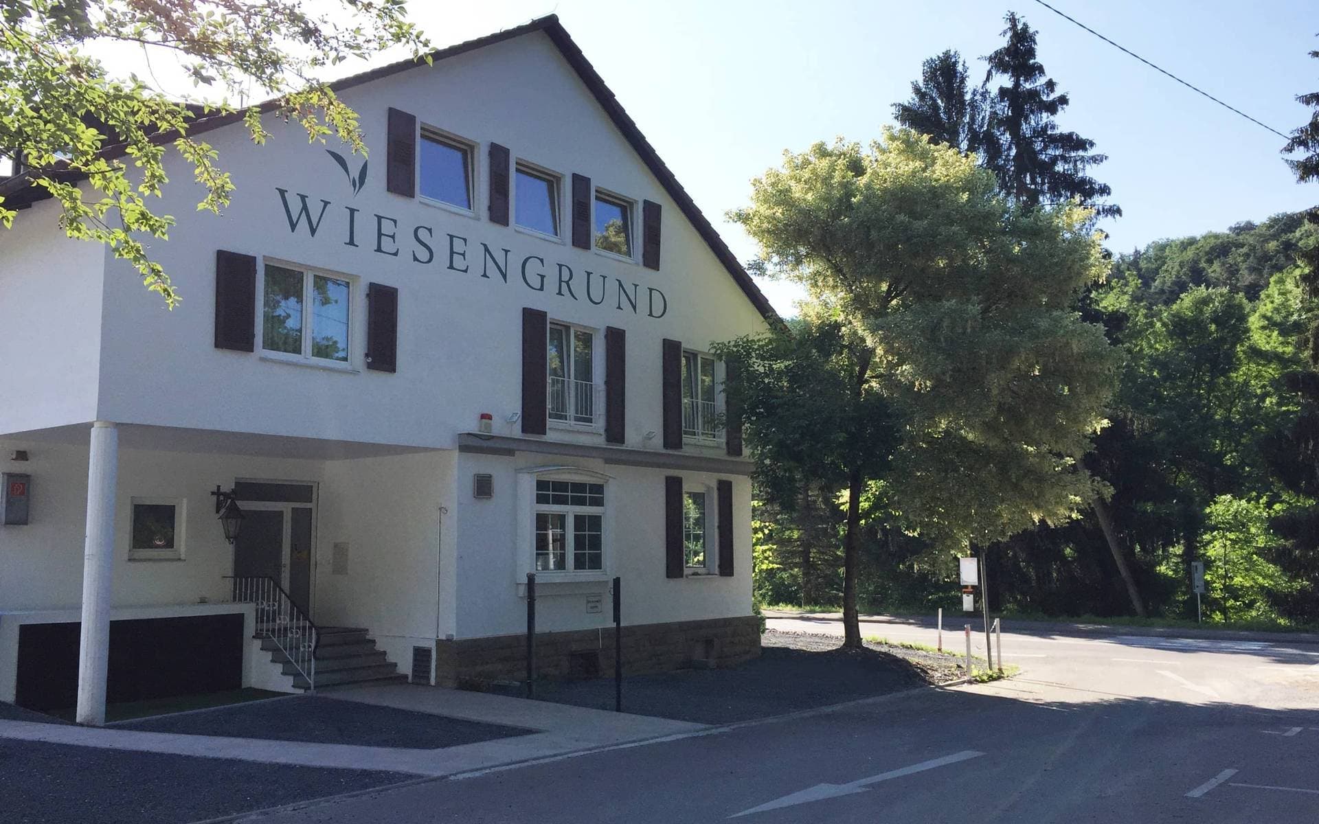 Wiesengrund zum Feiern 1