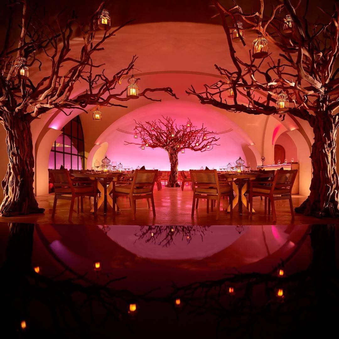 Arbol 1