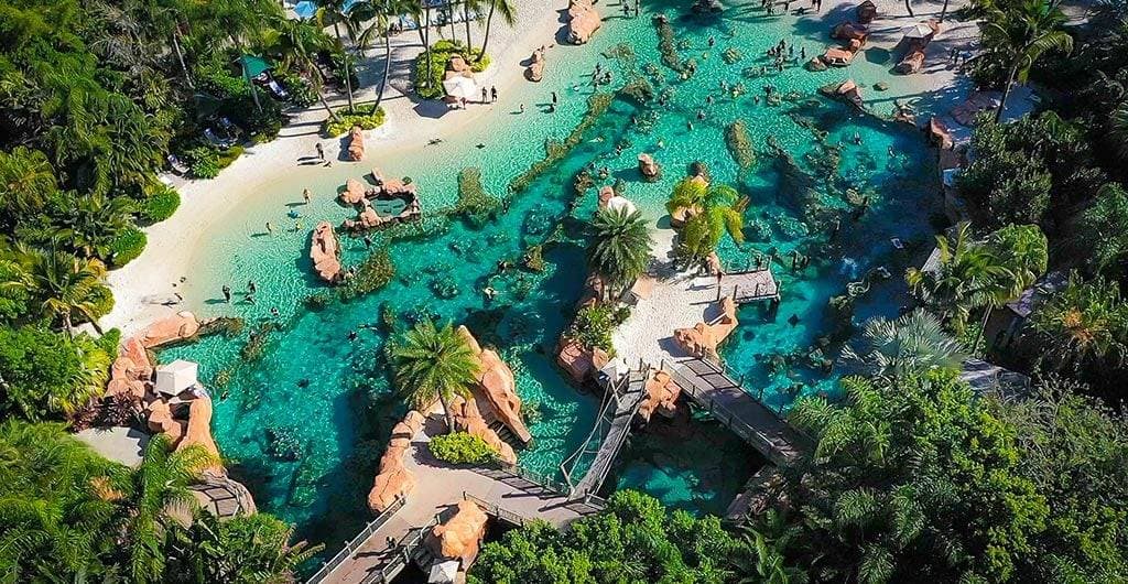 Discovery Cove 1
