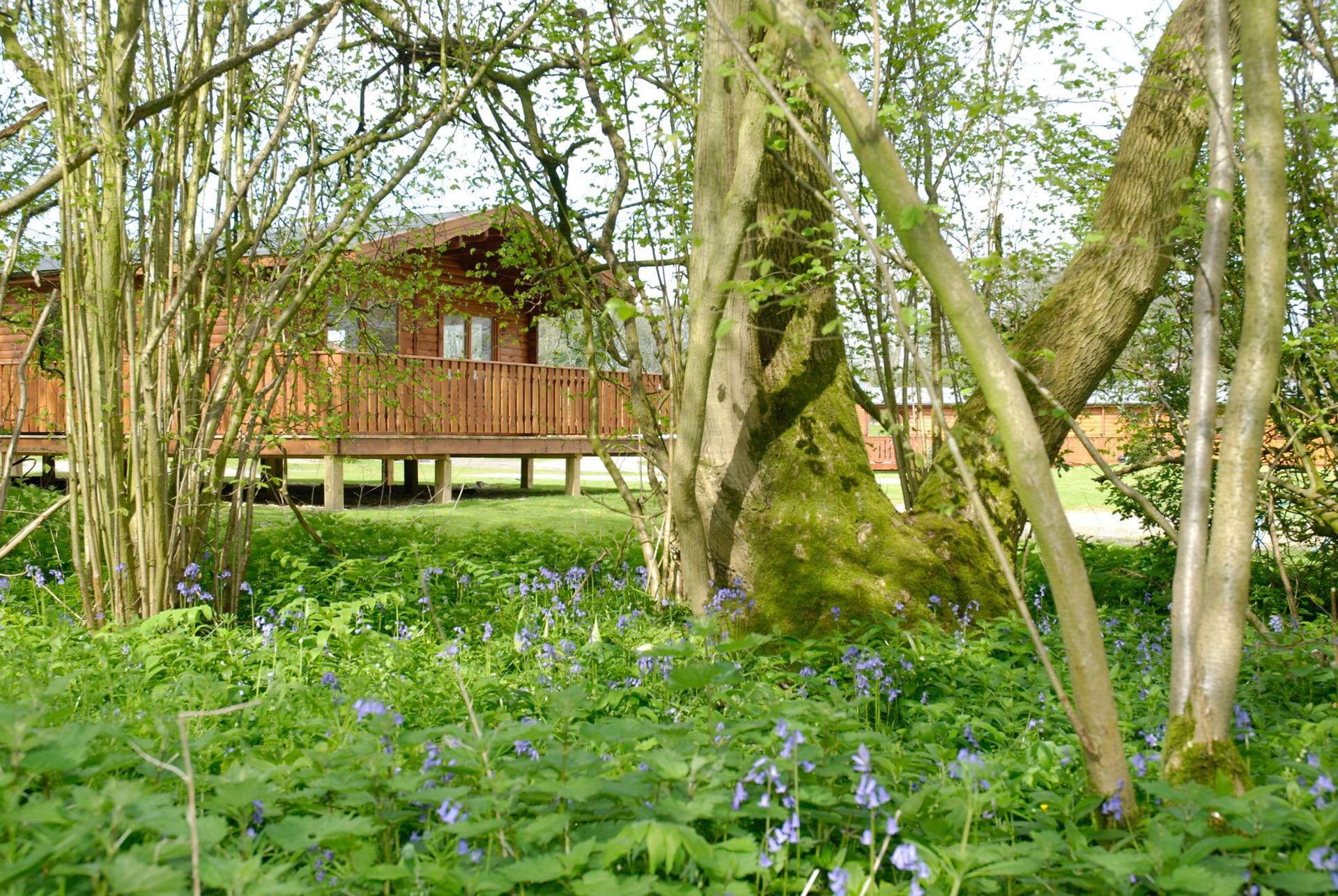South Winchester Lodges 1