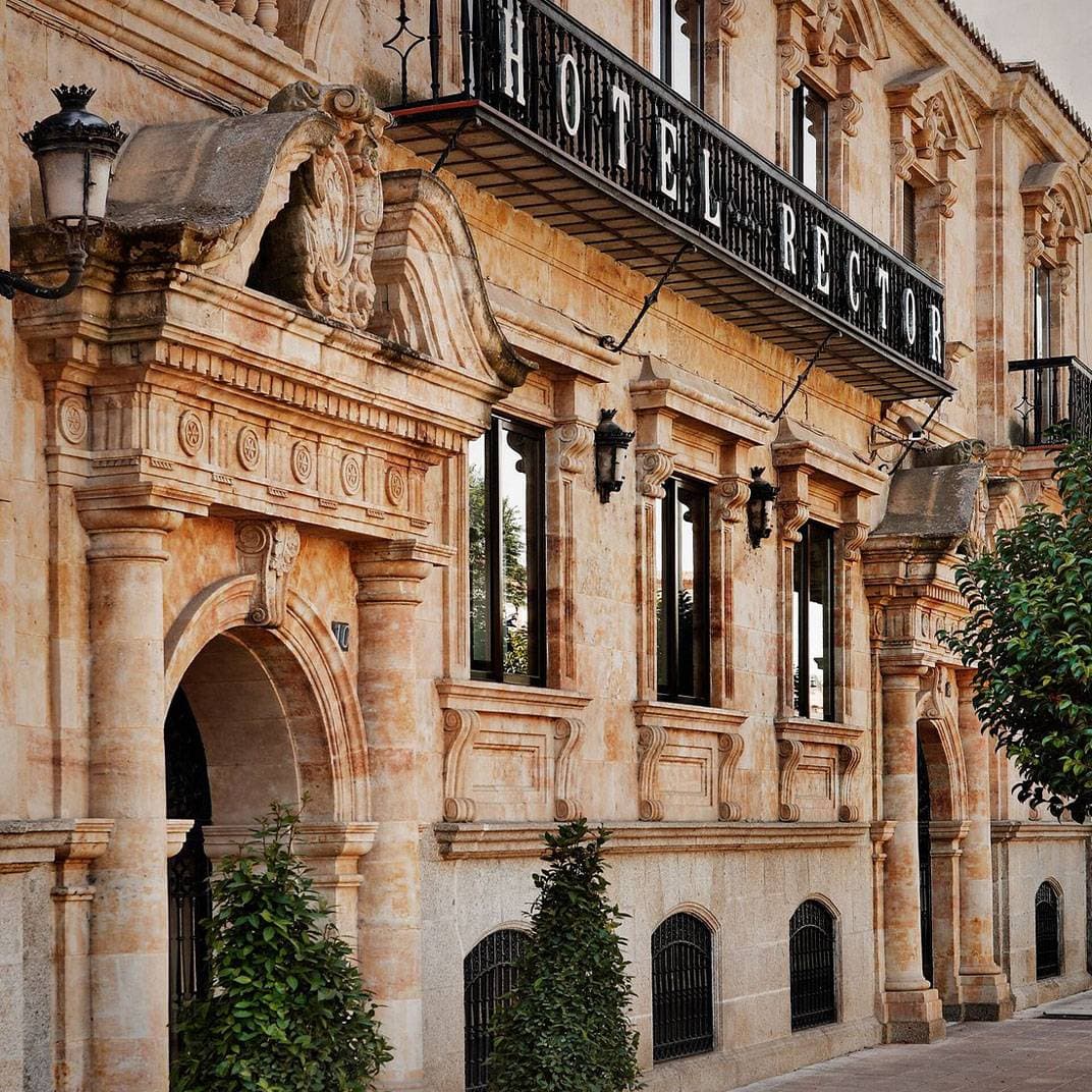 Hotel Rector 1