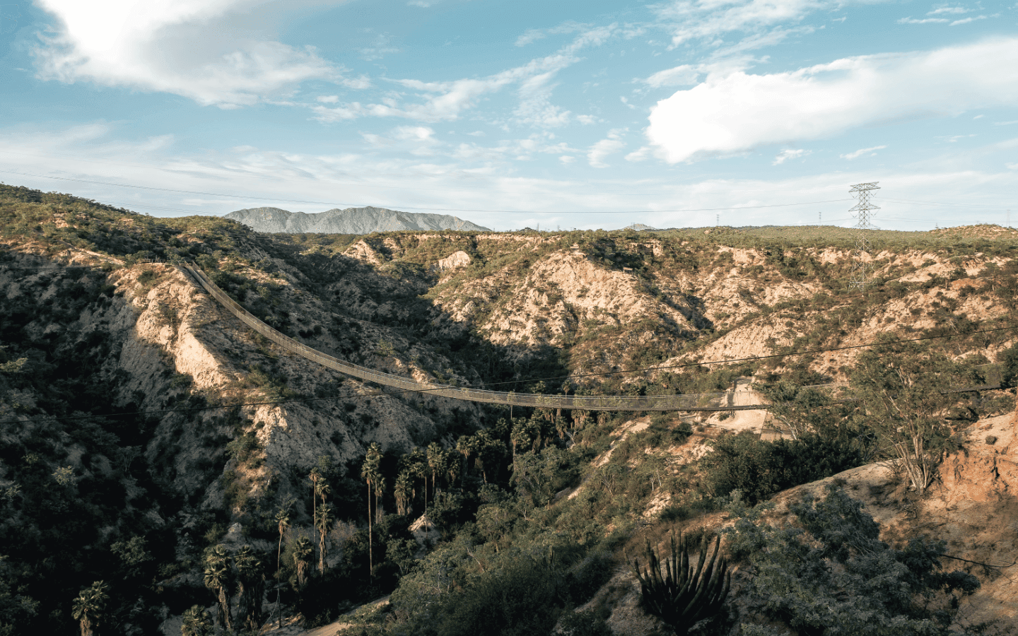 Wild Canyon Adventures 1