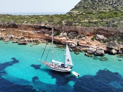 DB TOURS IBIZA - Private Tours & Corporate Events 1