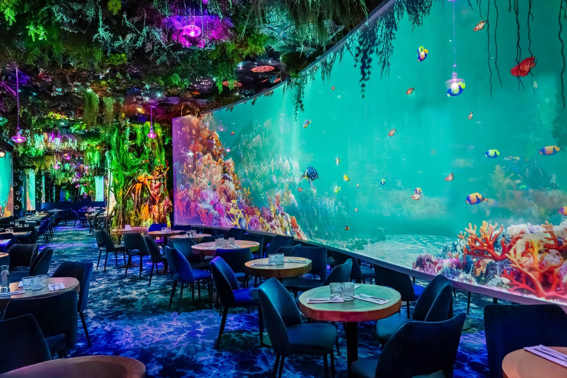 Under the Sea Issy by Ephemera 1