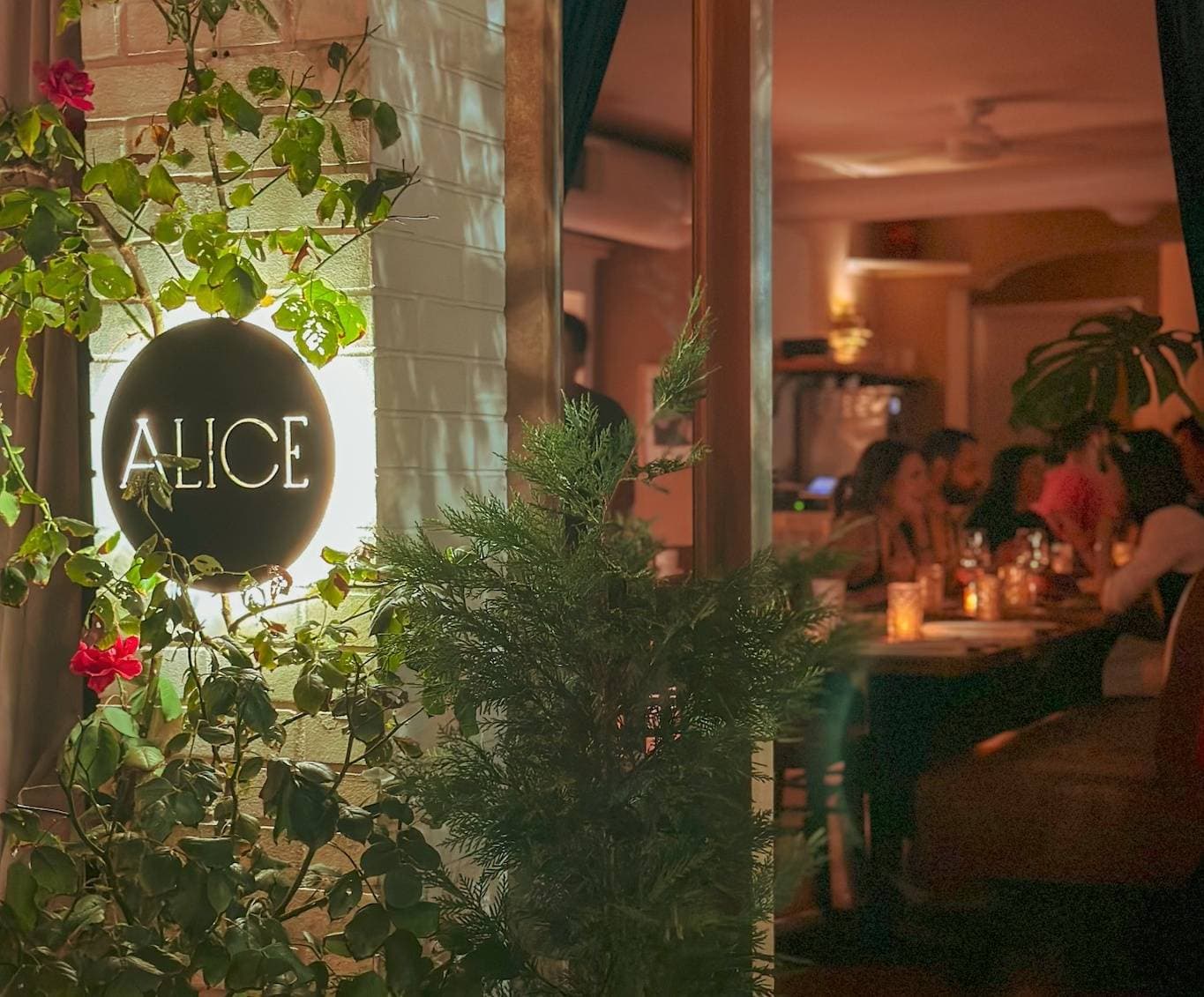 Alice 1